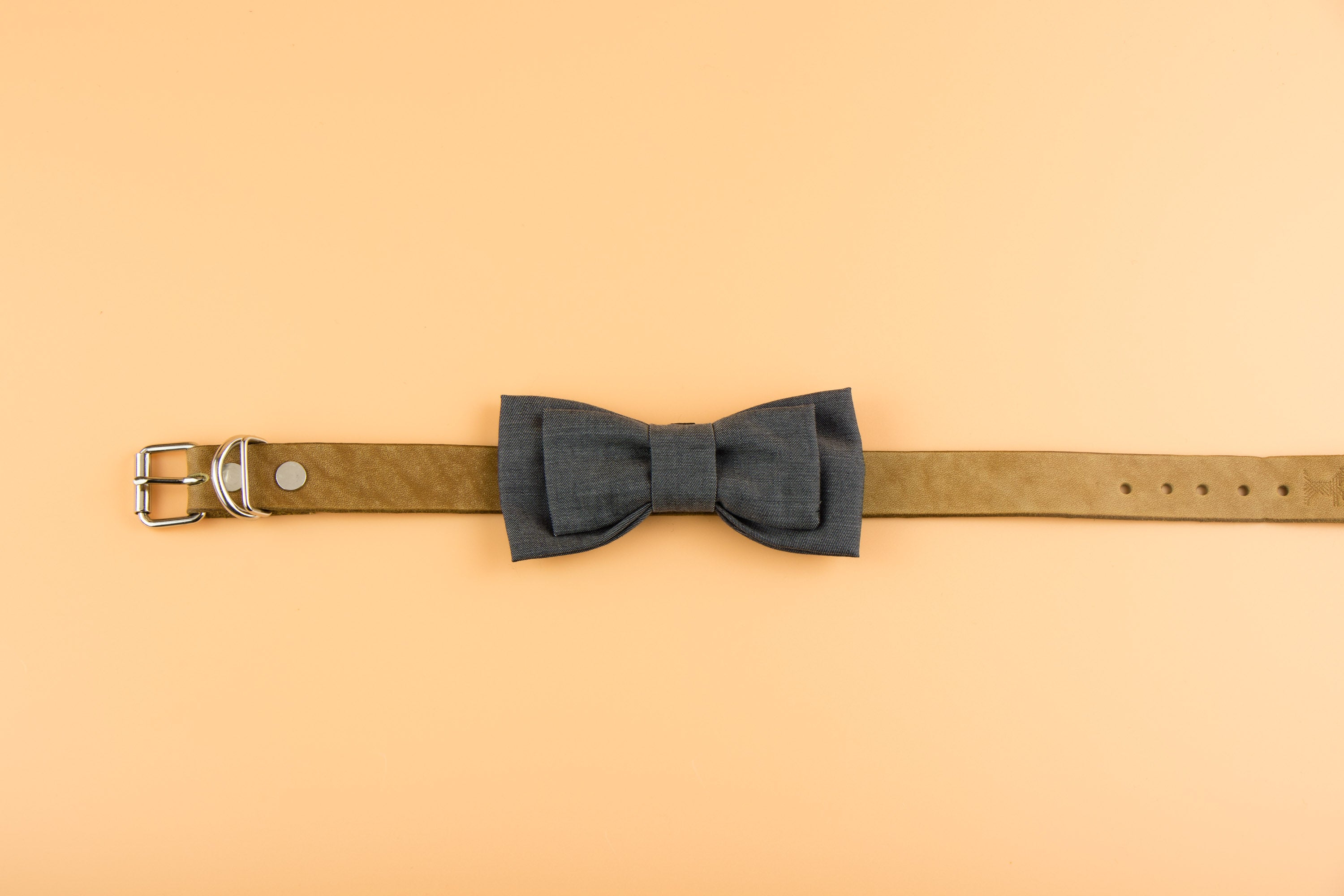 Suit Style - Dog Bow Tie