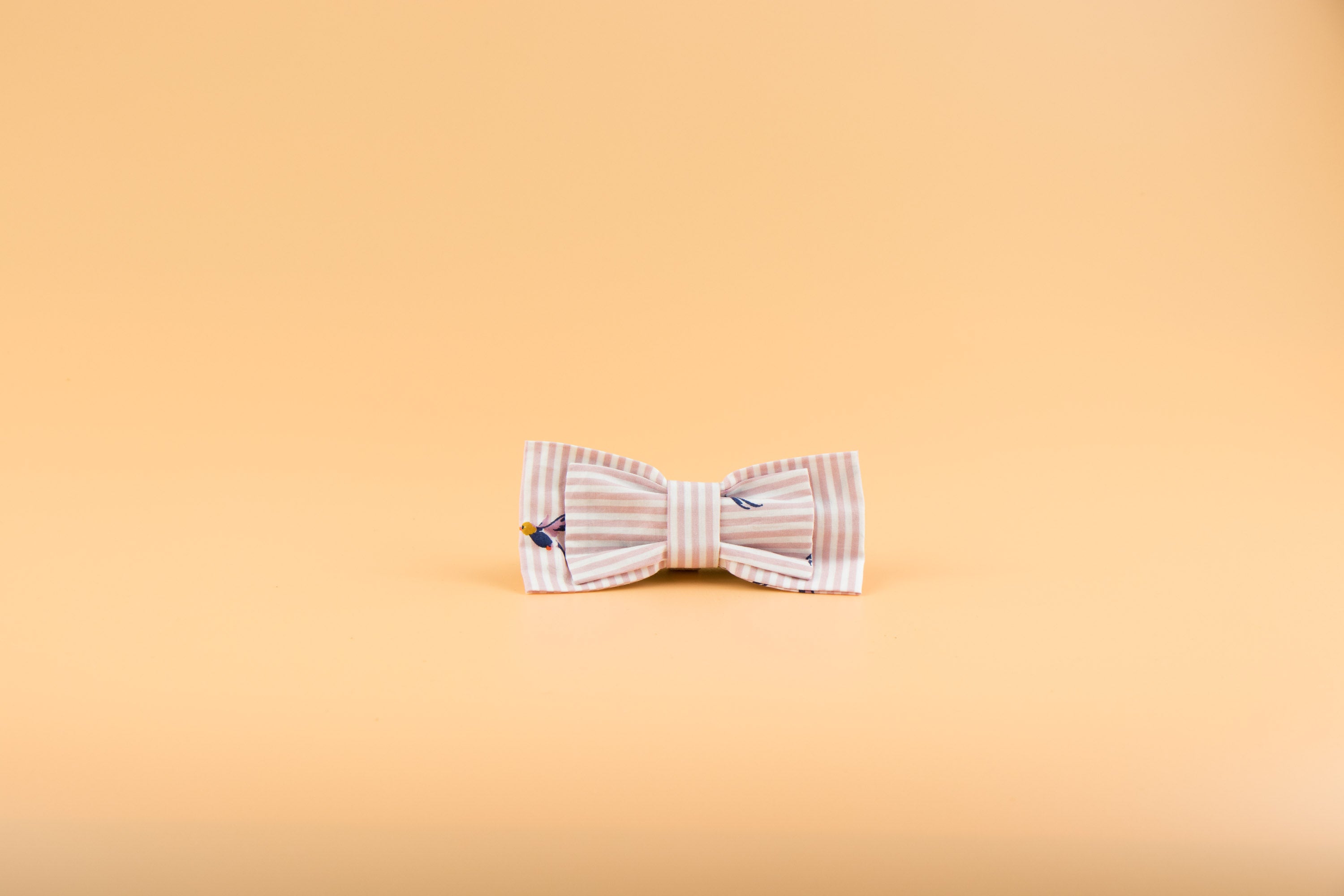 Pink Colibri - Dog Bow Tie