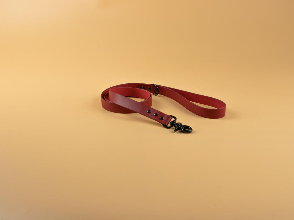 Classic Full Grain Leather Leash - Red Orch